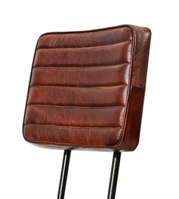 Coral Leatheratte Iron Dining Chair